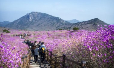 천상의 화원