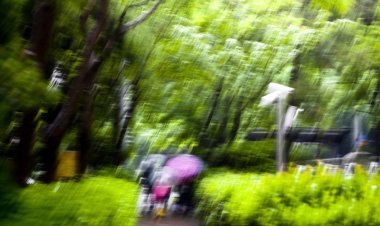 비오는날 수채화 -