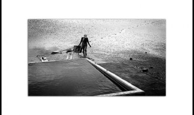 한장의 사진을 보고서 이런 생각을 해본다,