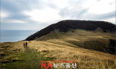 상상 속의 섬, 한국의 갈라파고스 '굴업도'