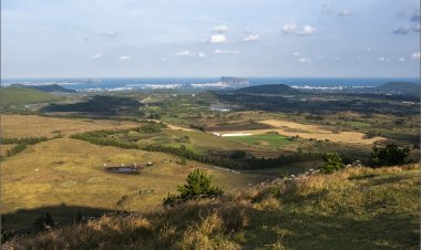 제주 용눈이 오름