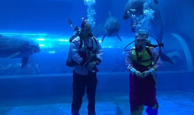 고래생태체험관 특별한 설맞이 '꽃분이의 새해인사'