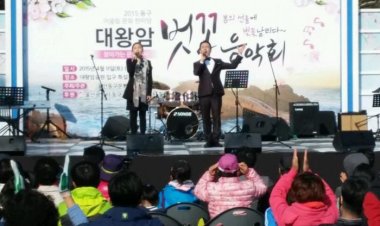 ‘봄의 선율에 벚꽃 날리다’