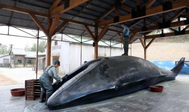 '장생포 고래문화마을' 15일 준공