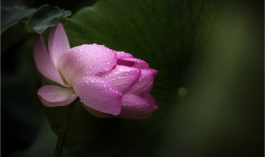 너의 아름다움을