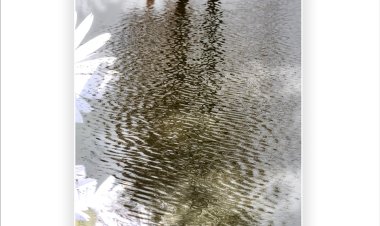 널 향한 그리움