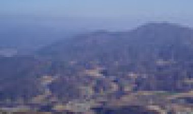 7. 꽃 진 자리 남은 향기가 더 짙더라