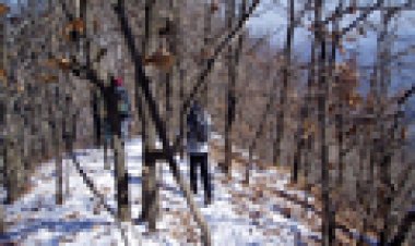 9. 취했다 깨어나니 여름이 가고 없더라