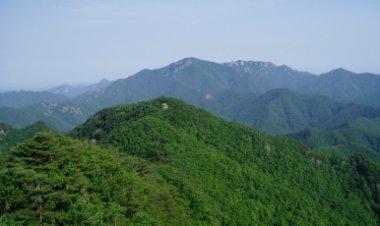 13. 산은 속세를 떠나지 않았건만
