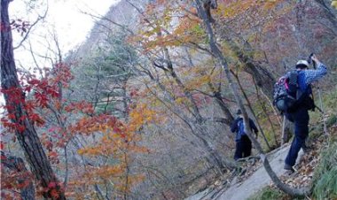 16,一日不作 一日不食