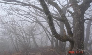 17.길은 직선을 지향한다