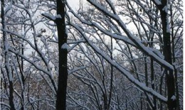 18.아부지 돌 굴러가유 -