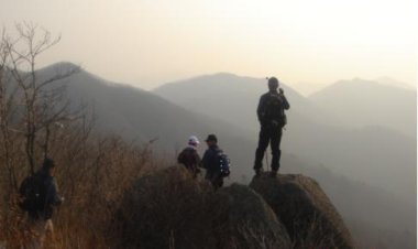 20.꽃은 반쯤 피었을 때가 아름답고