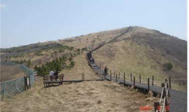 21-1.꽃소식은 죽령을 넘어가고