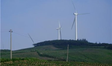 24-2 꽃을 보려거든 원추리는 심지마라