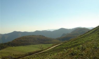 25-지아비 아홉명과 살다 죽고