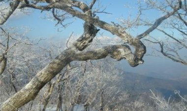 26-2 무릉선원 두타동천이라 (피재 - 백봉령 (2) 27.5km)