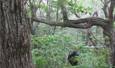 <연재>조관형의 백두대간 31 - 좌이대사((坐而待死),좌탈입망(坐脫立亡)