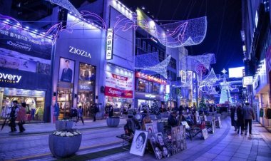 올 크리스마스엔 부산 트리축제" 보려가자!"