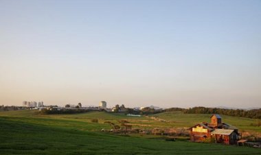 초록향기 안성목장