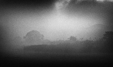 신들의 정원 우포늪