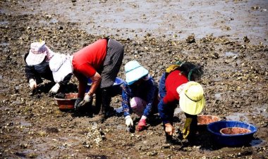 달천 섬이라는 조그마한 섬 있니다.