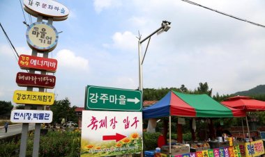 함안 강주 해바라기 축제장에서