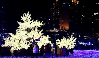 2019 해운대 빛의 바다 축제