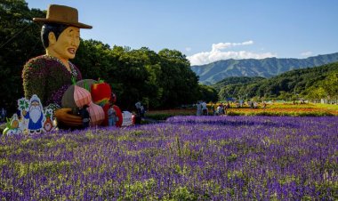 역사와 문화를 간직하고 있어 천년의 숲""