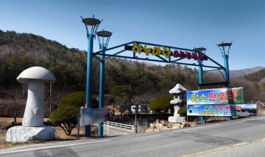 울주상북 맛집 한우암소전문점 ‘하늘마당’