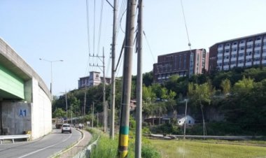 ◆ 정류장안내판 풀숲에 방치