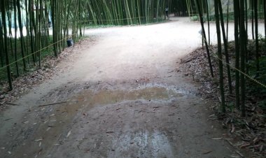 ◆ 십리대숲길 비오는날 장화신고 ?