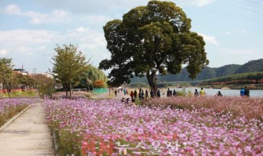 울산시,‘내 손에서 피어나는 봄’행사 개최