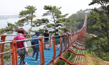 울산동구 대왕암 출렁다리 개통