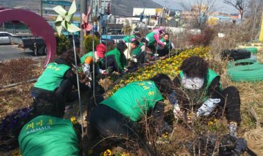 농소2동 새마을 협의회 부녀회 초화류 식재