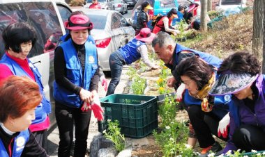 병영2동, 봄꽃 심기 행사