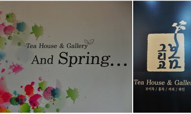 다시 2월에, 갤러리 카페 '그리고 봄'에서 만난 봄!