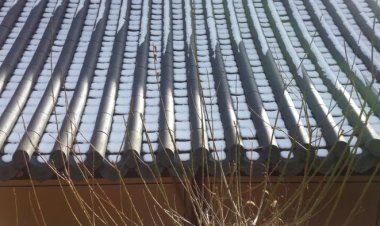 느리게 걷는 겨울 여행길에서 만난 건강 멋집 이야기