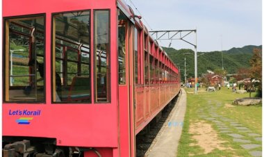 백두대간 협곡열차(V-train)와 함께 떠나는 가을여행