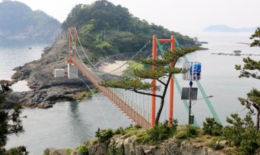 난대림이 수놓은 천년 바위섬, 연대도에서 출렁다리 건너 만지도 까지...,