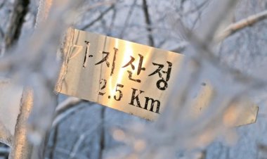 울산12경, 영남알프스 최고봉 가지산의 겨울을 만나다.