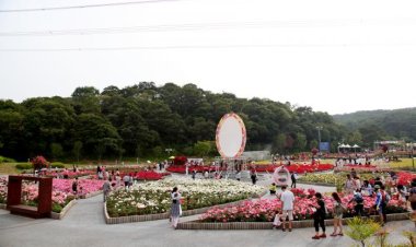 울산시, ‘울산대공원 장미축제’취소