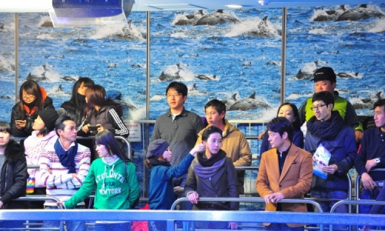 고래생태체험관 일대 MBC 드라마 '욕망의 불꽃' 촬영