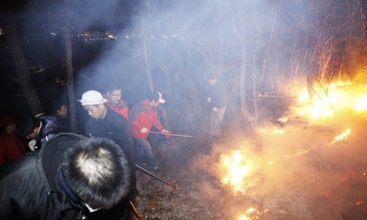 북구 염포동 일대 야산 산불