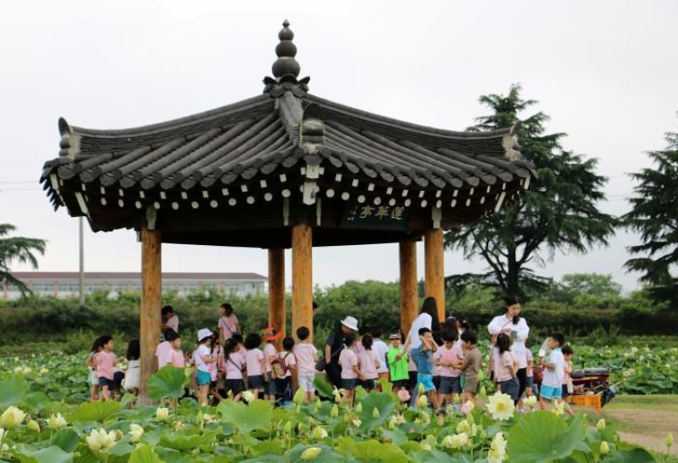 경주 안압지의 7월,