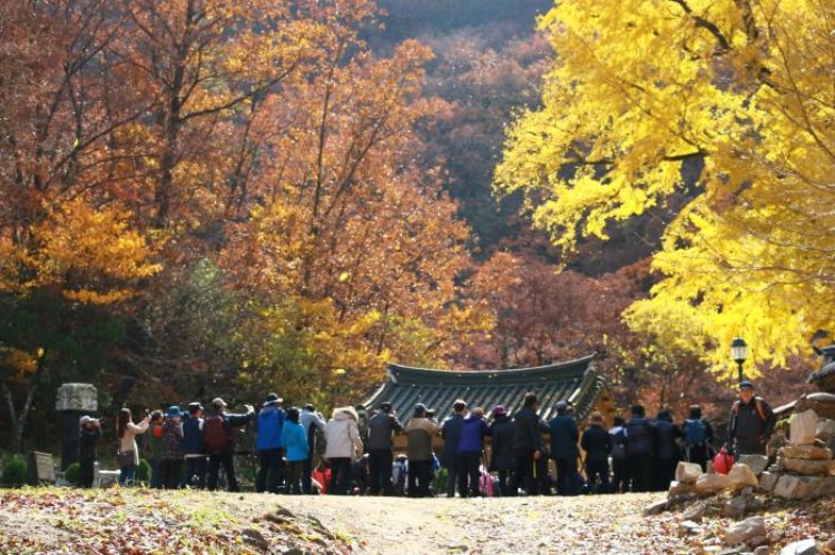 경주 운곡서원의 가을