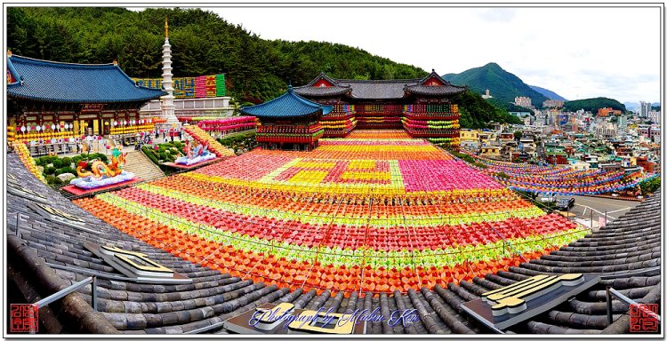 부산 삼광사 연등 장관