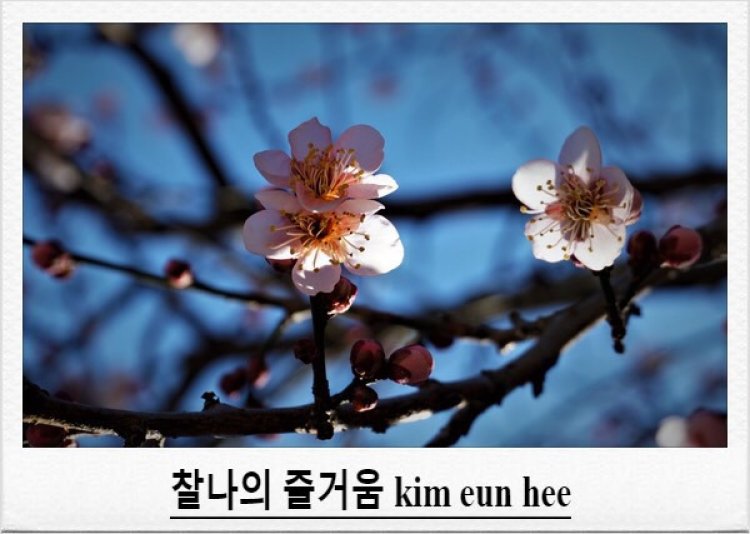 사진을 말하다