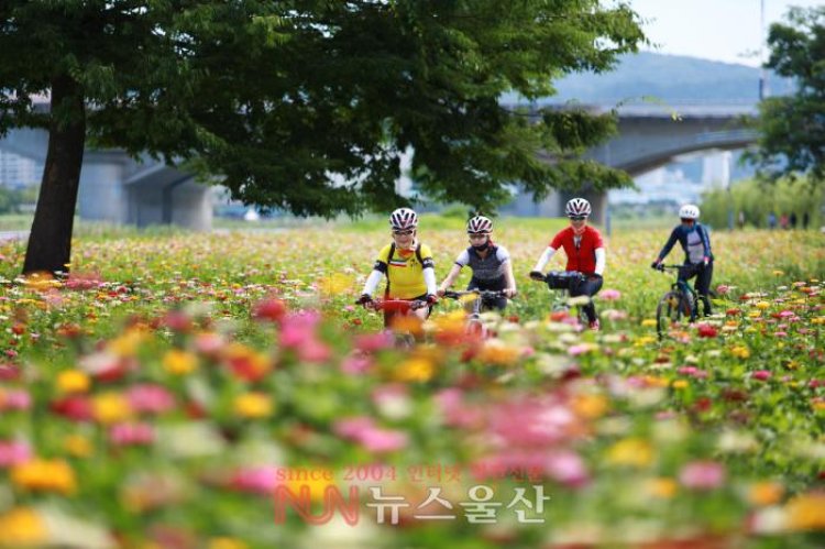 백일홍 향기 속으로...
