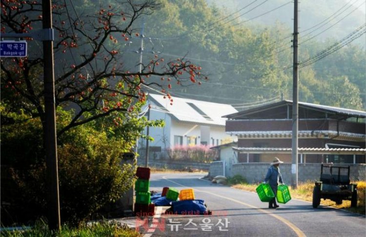 가을이 깊어간다